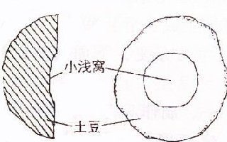 红虫快速绑扎的一些小技巧分享