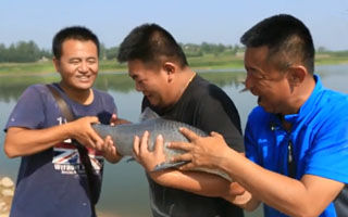 游钓中国第一季42集：红领巾水库避鲢诱钓青草鱼下 [视频]