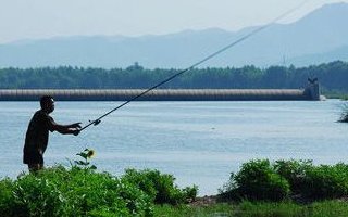 在水库大水面如何打窝诱鱼效果更好