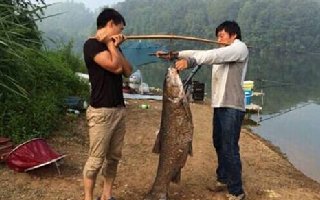 看看垂钓大师们是怎么在开饵钓鱼