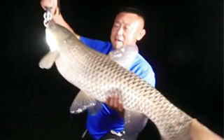 游钓中国第一季43集：别山湖探钓获米级大草鱼 [视频]