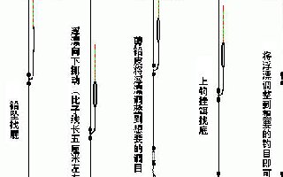 台钓入门最系统的教程，新手必看