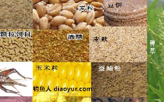 春夏秋冬四季钓草鱼的饵料配方