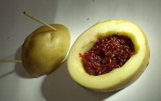 钓鱼高手养红虫的神奇办法