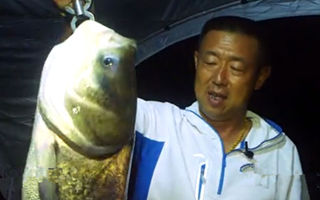 游钓中国第一季45集：大毛升钟湖库钓大赛(下)夜钓鲢鳙 [视频]