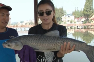 《江湖行》高淳觅青草 固城湖泊鏖战巨物 [视频]