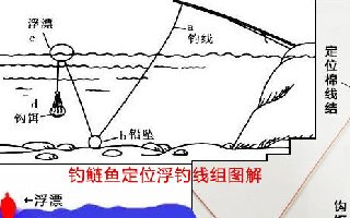 水库钓草鱼技巧最系统的技巧大全