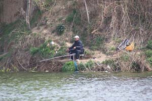 自制水库野钓鲫鲤草鱼通杀鱼饵秘方