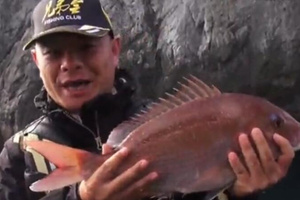 《海洋战士》出征嵊泗列岛 矶钓戮战真鲷鱼 [视频]