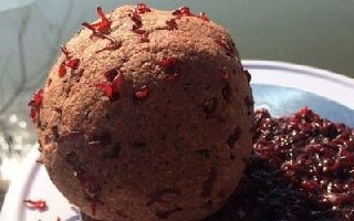 冬季钓鲫鱼的红虫饵配方与使用