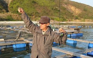 台风过后在网箱鱼排边海钓大鱼技巧