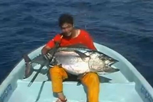 海钓牛人斩获米级金枪鱼 [视频]