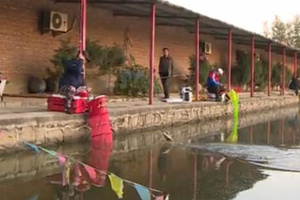 黑坑一路行第一季06 师徒黑坑连杆飞鲫鱼 [视频]