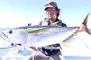 冲绳久米岛海钓米级黄鳍金枪鱼 [视频]