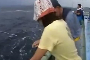 日本青涩妹妹深海船钓带鱼 [视频]