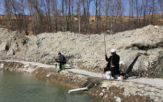 黑坑冬钓鲫鱼的绝学秘招