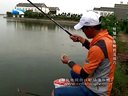 遍钓天下：鲢鳙的各种钓法技巧 [视频]