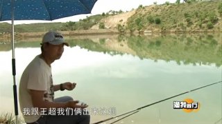 《渔我同行》第137期 横山钓鲤 [视频]