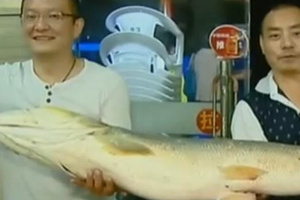 钓友擒获体重重达45斤鳡鱼 [视频]