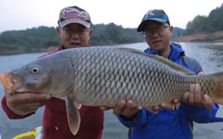 游钓中国第一季54集：重回柘林湖手竿擒获大红鲤鱼 [视频]
