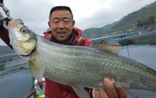 游钓中国第一季55集：渔行乌江大毛筏钓大翘嘴 [视频]