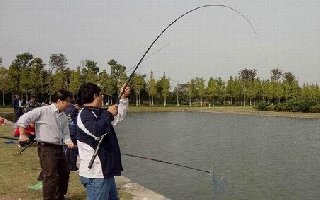 黑坑钓鱼制胜的各种奇怪流氓钓法
