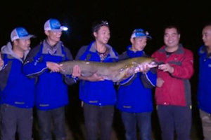 我的家乡有大鱼：四川绵竹队（下）夜钓大鲶鱼 [视频]