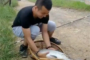 小伙黑坑手竿怒擒大青鱼 [视频]