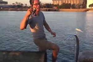 澳洲带鱼季 教你如何海钓带鱼 [视频]