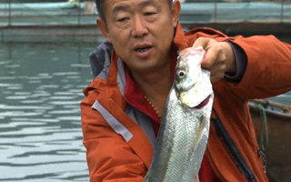 游钓中国第一季59集：再入马堵山（上）筏钓翘嘴 [视频]