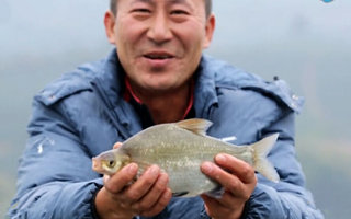 筏钓江湖第一季06期 寒冬探钓柘溪水库获鳊鱼 [视频]