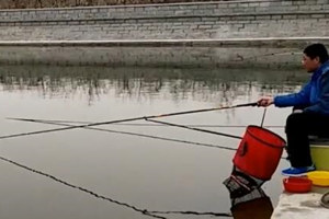 春钓手竿战黑坑 鲫鱼遛鱼连竿不停 [视频]