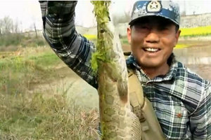 三耳鱼的黑鱼世界 2016春季雷强第6集 [视频]