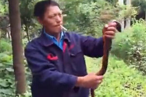 老人的神奇钓法，大黄鳝连连上钩 [视频]