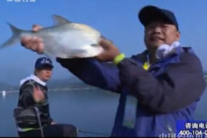 《职场渔乐圈》第933期 雅风线钓大鲳鱼 [视频]