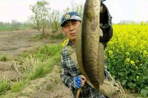 三耳鱼的黑鱼世界 2016春季雷强第8集 [视频]