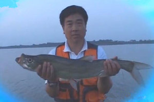 程宁胭脂湖爽钓翘嘴鲌（上）初探胭脂湖 [视频]
