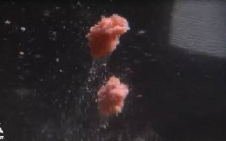 做一款鲫鱼拉饵的正确制作方法