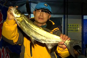 百筏百中万峰湖站 惊喜筏钓获大翘嘴 [视频]