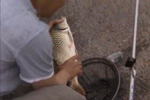 我爱发明之魔盒巧钓 新型钓鱼盒自带打窝装置 [视频]