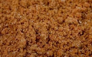 散泡饵钓黑坑的开饵技巧与捏饵手法