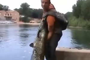 路亚高手在湍急河流上也能钓起巨型鲶鱼 [视频]