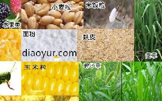夏季在水库钓鱼最完整的技巧