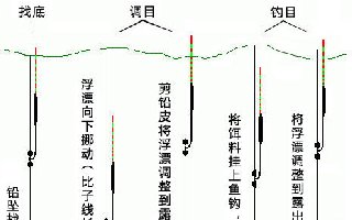 钓鲤鱼要如何调漂(钓顿、钓灵与选漂)