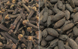 丁香小药使用方法详解及小药配方