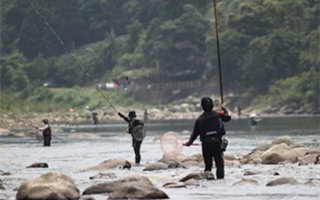 溪流野钓鲶鱼的八个实用技巧