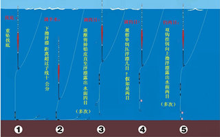 台钓浮漂的调钓原理和调漂方法