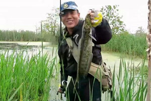 三耳鱼的黑鱼世界 2016春季雷强第17集 [视频]