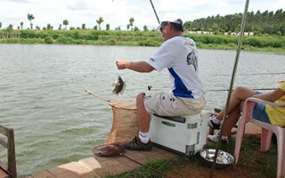 浅谈台钓浮漂上顶现象和提竿技巧