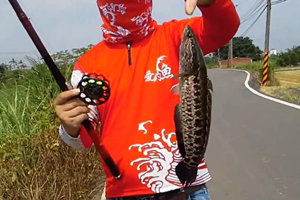 路亚黑鱼技巧之自创泥鳅前打雷鱼钓法 [视频]